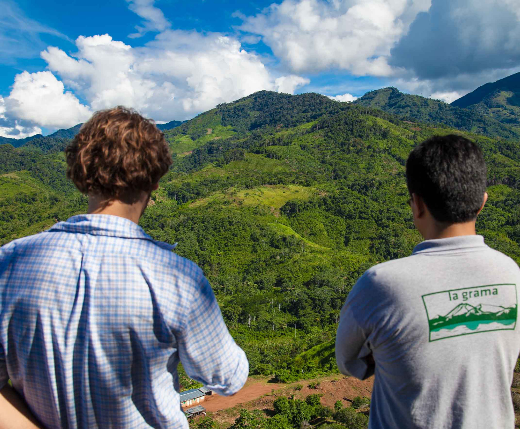 Lo que tu ginecólogo no te explica sobre alimentación y ciclo hormonal