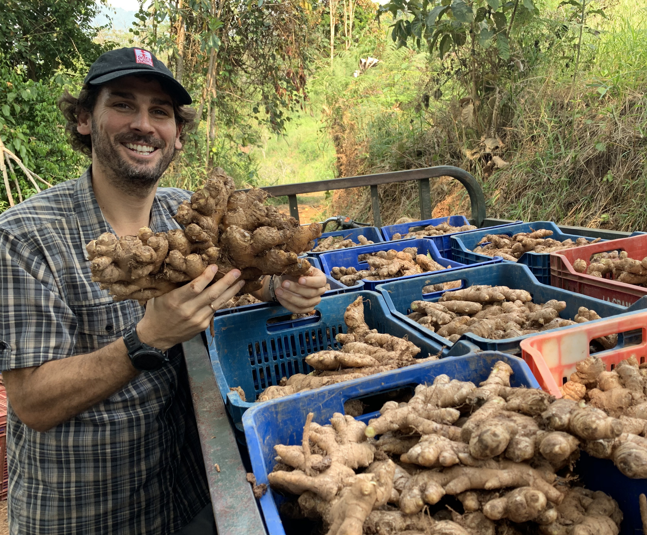 Tu estómago no tiene gastritis por estrés. Tiene gastritis porque comes como si no tuvieras estómago.