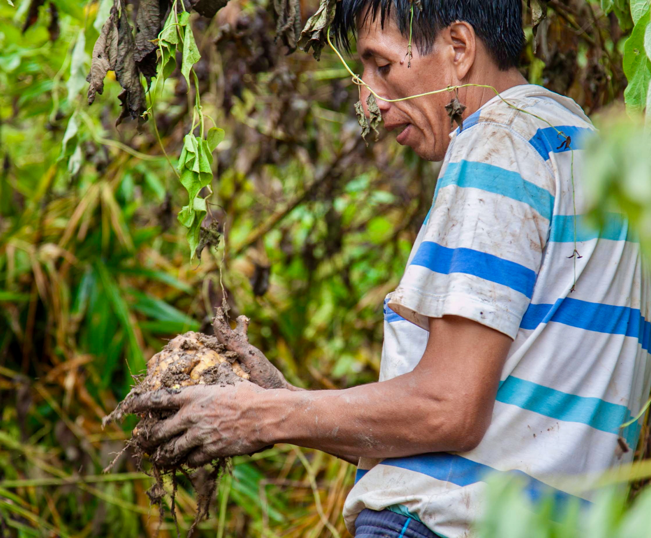 El ibuprofeno después del entreno:  Lo que tu traumatólogo no te cuenta