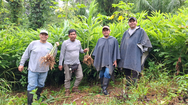 Equipo de La Grama durante una visita a los cultivos