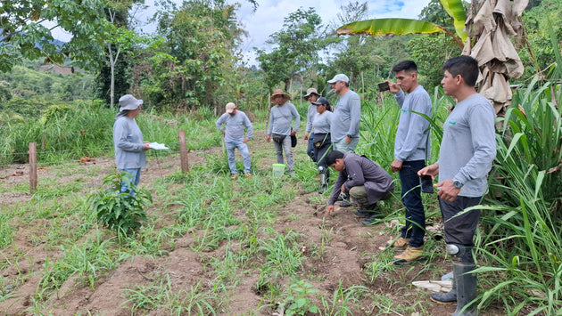 Auditores y productores recorriendo un cultivo de La Grama