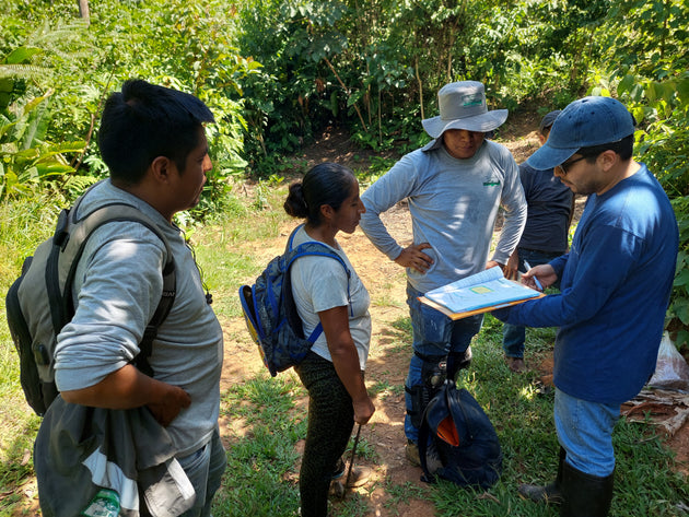 Evaluación de campo con productores de La Grama