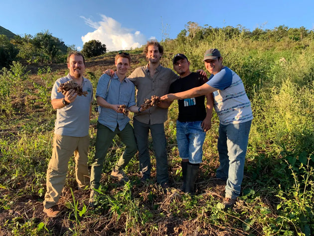 Equipo fundador de La Grama en un campo de cultivo en Chanchamayo
